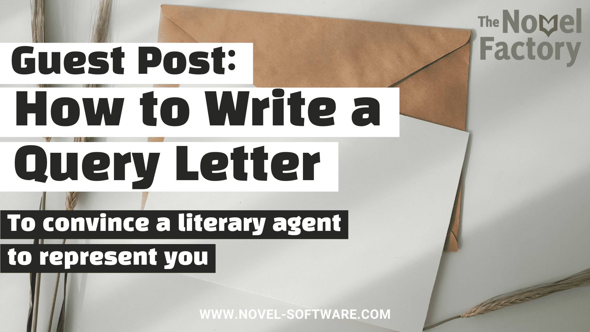 Guest Post How to Write a Query Letter(1)