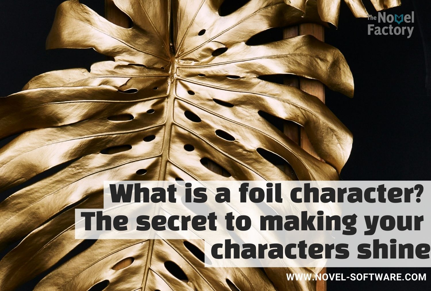 What is a Foil Character